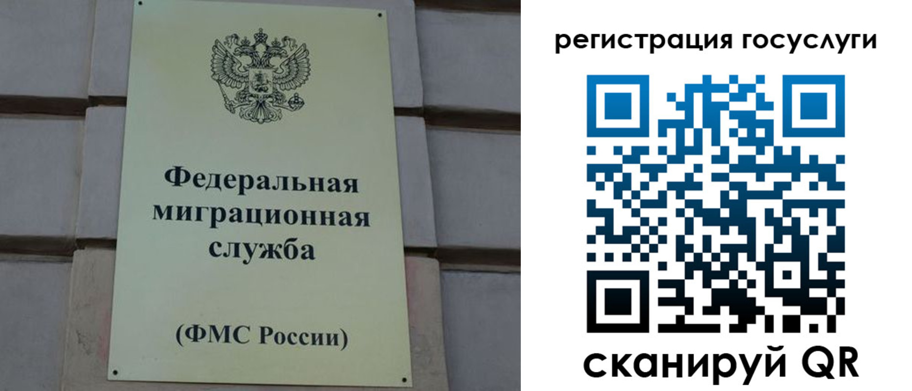 временная регистрация поиск в Чайковском